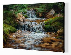 Obraz na plátně - Malý vodopád s šiškou a mechem FeelHappy.cz Velikost obrazu: 120 x 80 cm