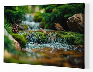 Obraz na plátně - Mechový vodopád s ptáčkem FeelHappy.cz Velikost obrazu: 40 x 30 cm