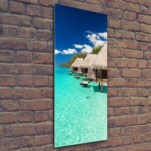 Vertikální Foto obraz skleněný svislý Tropický ostrov osv-40314400