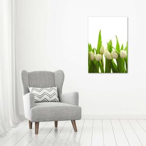 Vertikální Foto obraz fotografie na skle Bílé tulipány osv-40774643