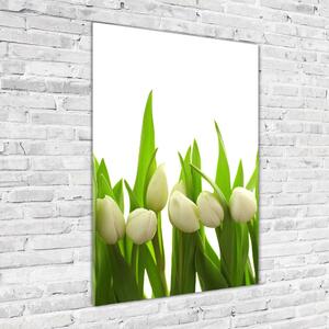 Vertikální Foto obraz fotografie na skle Bílé tulipány osv-40774643