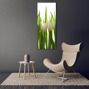 Vertikální Foto obraz na plátně Bílé tulipány ocv-40774671