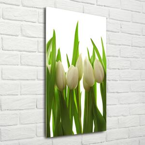 Vertikální Foto obraz fotografie na skle Bílé tulipány osv-40774671