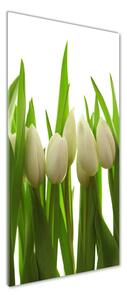 Vertikální Foto obraz fotografie na skle Bílé tulipány osv-40774671