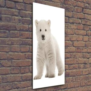 Vertikální Foto obraz sklo tvrzené Polární medvěd osv-42045391