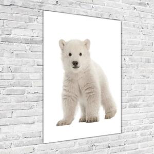 Vertikální Foto obraz sklo tvrzené Polární medvěd osv-42045391