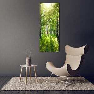 Vertikální Foto obraz sklo tvrzené Břízový les osv-42305508