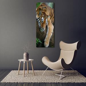 Vertikální Foto obraz na plátně Tygr na stromě ocv-4289086