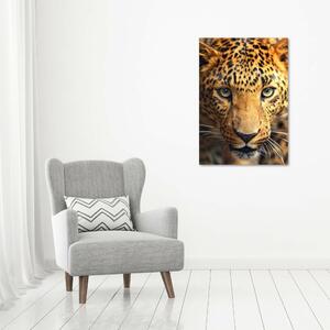 Vertikální Moderní obraz canvas na rámu Leopard ocv-42852431