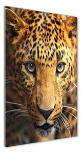 Vertikální Foto-obraz fotografie na skle Leopard osv-42852431