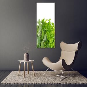 Vertikální Fotoobraz skleněný na stěnu do obýváku Bylinky osv-42979948
