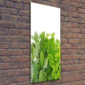 Vertikální Fotoobraz skleněný na stěnu do obýváku Bylinky osv-42979948
