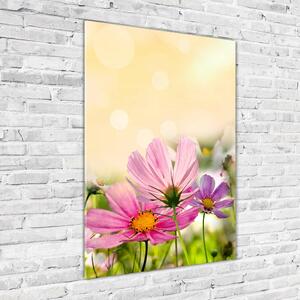 Vertikální Foto obraz sklo tvrzené Polní květiny osv-44427234