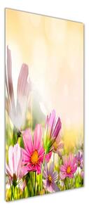 Vertikální Foto obraz sklo tvrzené Polní květiny osv-44427234