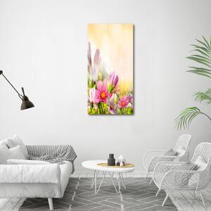 Vertikální Foto obraz canvas Polní květiny ocv-44427234