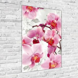 Vertikální Fotoobraz na skle Růžová orchidej osv-44684614