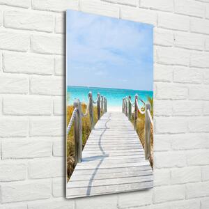 Vertikální Foto obraz skleněný svislý Stezka na pláž osv-45039628