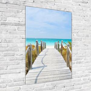 Vertikální Foto obraz skleněný svislý Stezka na pláž osv-45039628