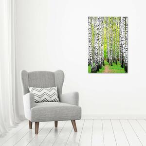 Vertikální Foto obraz canvas Břízový les ocv-45594728