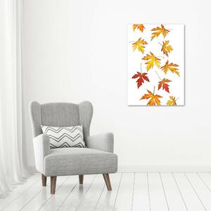 Vertikální Fotoobraz na skle Podzimní listí osv-45893425