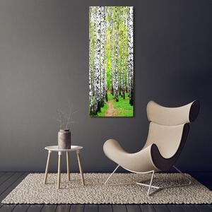 Vertikální Foto obraz sklo tvrzené Břízový les osv-45594728