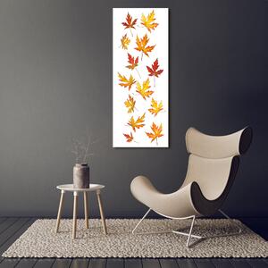 Vertikální Fotoobraz na skle Podzimní listí osv-45893425