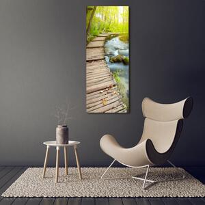 Vertikální Fotoobraz na skle Stezka v lese osv-46793485