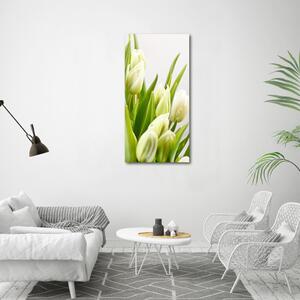 Vertikální Foto obraz na plátně Bílé tulipány ocv-48191283