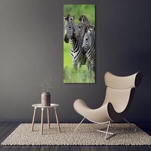 Vertikální Vertikální Foto obraz na plátně do obýváku Tři zebry ocv-48214640