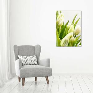 Vertikální Foto obraz na plátně Bílé tulipány ocv-48191283