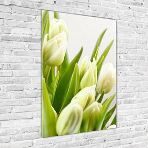 Vertikální Foto obraz fotografie na skle Bílé tulipány osv-48191283