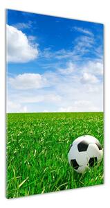 Vertikální Fotoobraz na skle Fotbal na louce osv-48400387