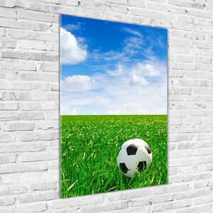 Vertikální Fotoobraz na skle Fotbal na louce osv-48400387