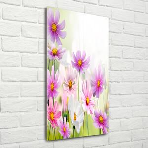 Vertikální Foto obraz sklo tvrzené Polní květiny osv-49015861