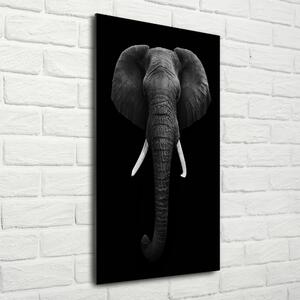 Vertikální Fotoobraz na skle Africký slon osv-49228540