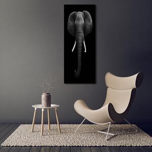 Vertikální Fotoobraz na skle Africký slon osv-49228540