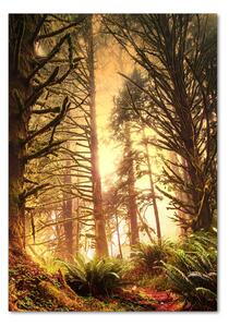 Vertikální Foto obraz sklo tvrzené Deštný prales osv-49624439