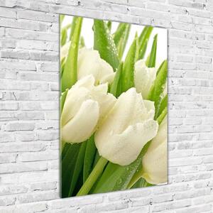 Vertikální Foto obraz fotografie na skle Bílé tulipány osv-49549577