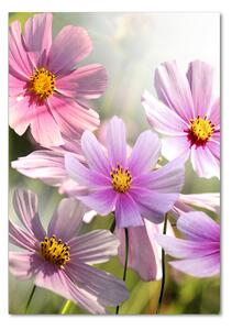Vertikální Foto obraz sklo tvrzené Polní květiny osv-50039707
