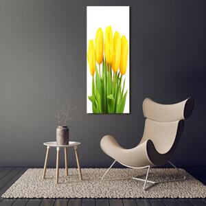 Vertikální Foto obraz na plátně Žluté tulipány ocv-50296445