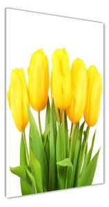 Vertikální Foto obraz fotografie na skle Žluté tulipány osv-50296445