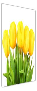 Vertikální Foto obraz fotografie na skle Žluté tulipány osv-50296445