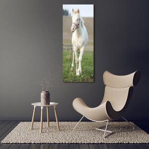 Vertikální Vertikální Foto obraz na plátně do obýváku Kůň albín ocv-51207060