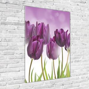 Vertikální Fotoobraz na skle Fialové tulipány osv-52340543