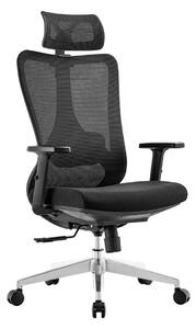 ERGODO Ergonomická kancelářská židle TALVEN - černá síťovina / nosnost 150 kg