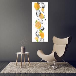 Vertikální Foto obraz canvas Citrony a voda ocv-52519204