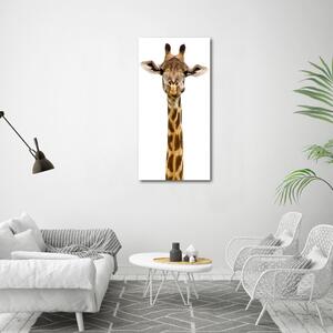 Vertikální Moderní fotoobraz canvas na rámu Žirafa ocv-53003309