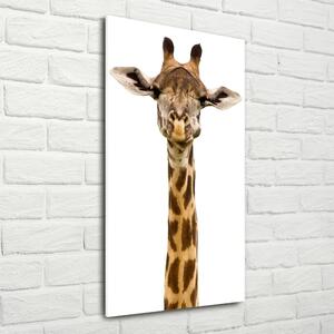 Vertikální Moderní skleněný obraz z fotografie Žirafa osv-53003309