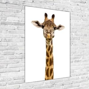 Vertikální Moderní skleněný obraz z fotografie Žirafa osv-53003309