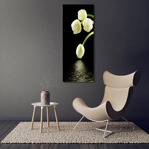 Vertikální Foto obraz fotografie na skle Bílé tulipány osv-53318527